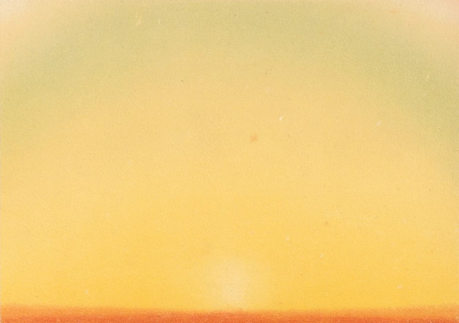 Botanical illustration